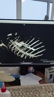 Иллюстрация 1