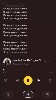 Цензура в Я.Музыке и Spotify: вырезана песня Boulevard Depo