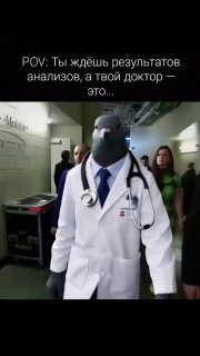 Иллюстрация 8