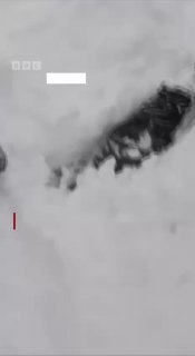 Спасение лыжника в Калифорнии