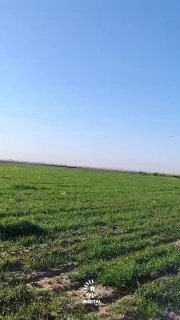 Угрозы и пролет ракет в сторону Ирана