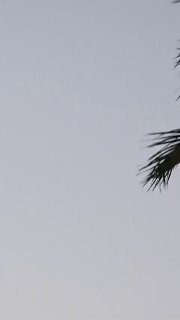 Работа ПВО в Иордании