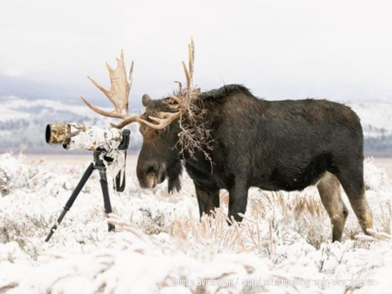 Иллюстрация 4