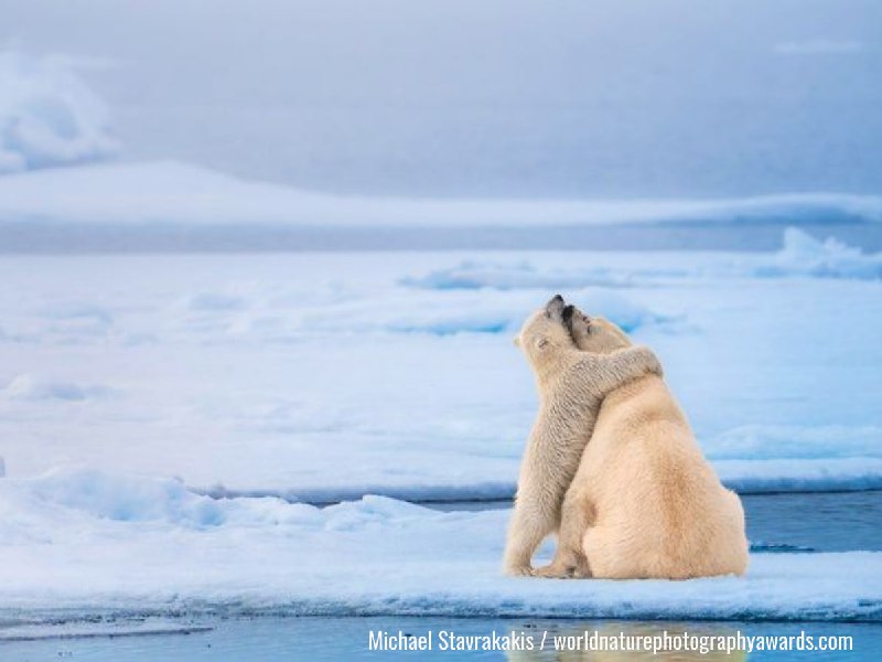 Иллюстрация 7