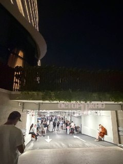 Иллюстрация 6