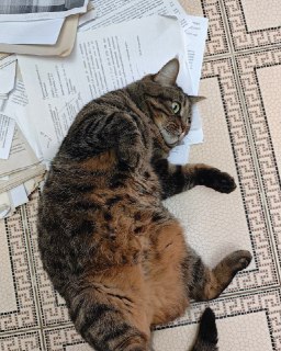 Иллюстрация 2