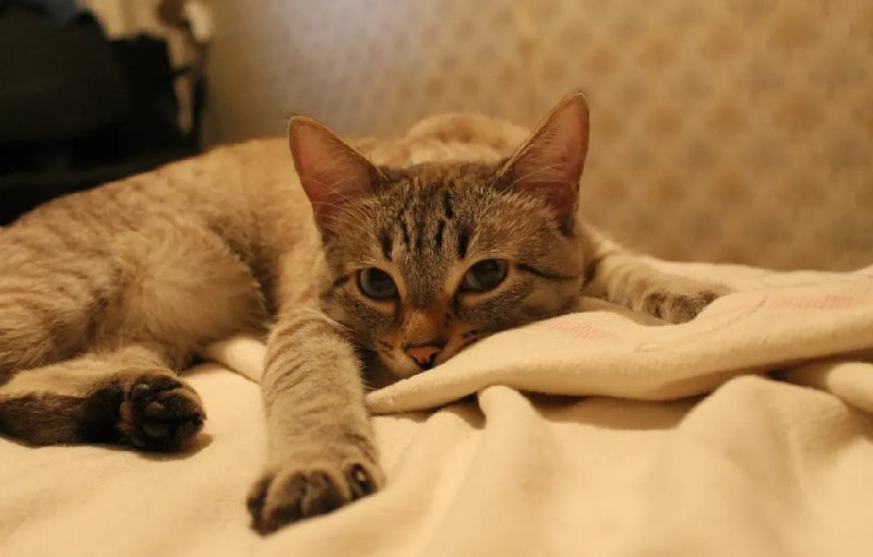 Иллюстрация 3