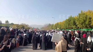 Иллюстрация 1