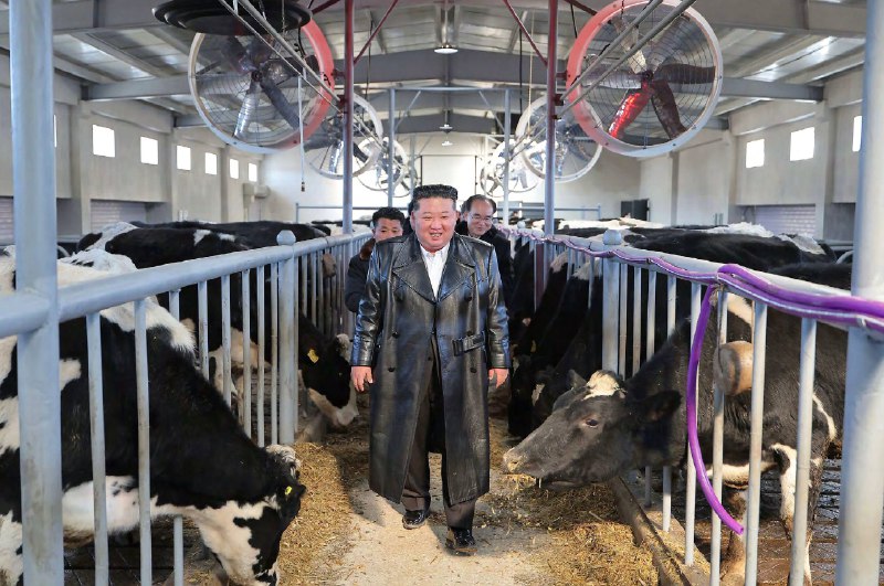 Иллюстрация 9