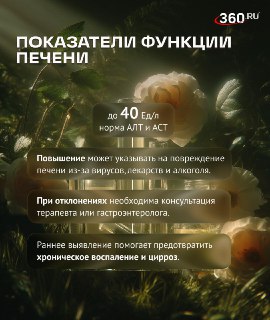 Иллюстрация 4