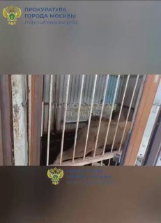 Изъятие диких животных в Новой Москве
