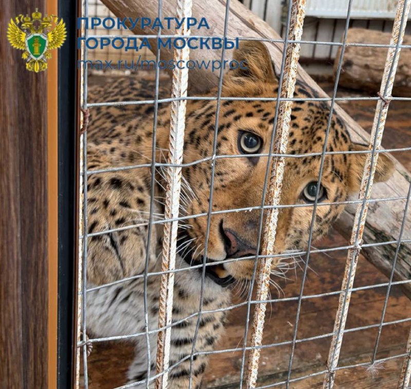 Иллюстрация 2