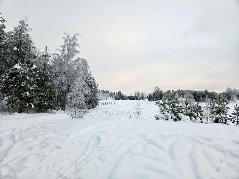 Иллюстрация 2