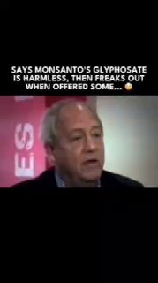 Bayer и Monsanto: рискованная сделка и последствия