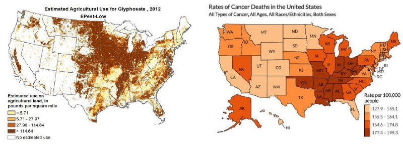 Иллюстрация 3