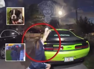 Перестрелка из-за щенков стала вирусной