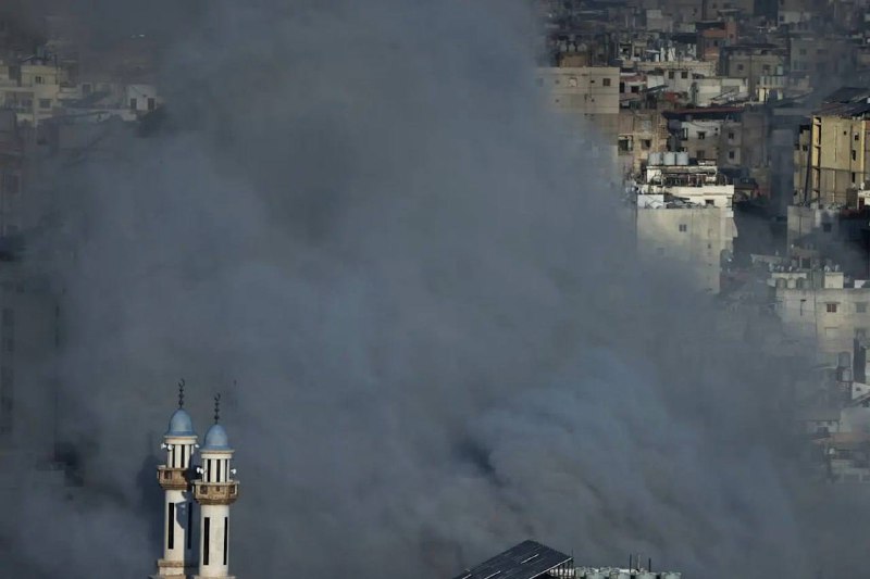 Иллюстрация 8