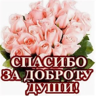 Иллюстрация 1