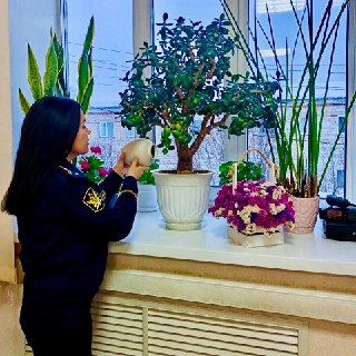 Иллюстрация 3