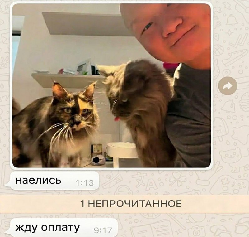 Иллюстрация 1