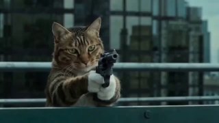 Иллюстрация 1