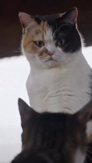 Иллюстрация 2