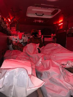 Иллюстрация 1