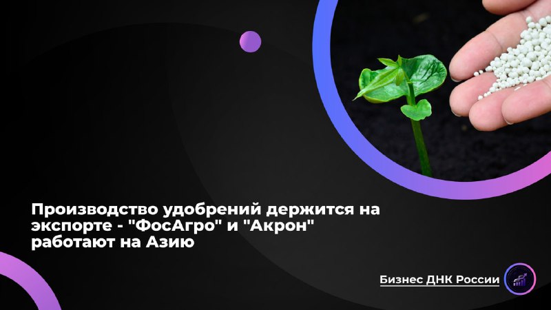 Российские производители удобрений зависят от экспорта