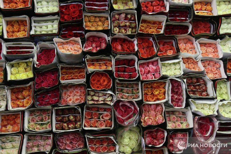 Мошенники с цветами в Telegram