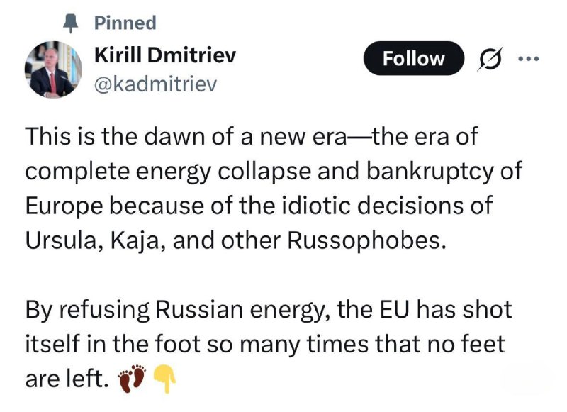 Дмитриев предрек энергетический коллапс ЕС