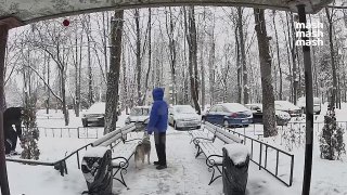 Иллюстрация 2