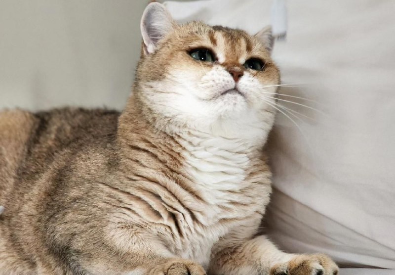 Иллюстрация 5