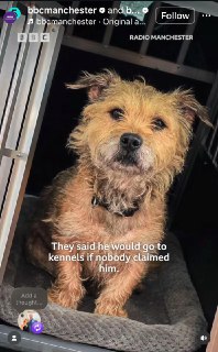 Иллюстрация 2