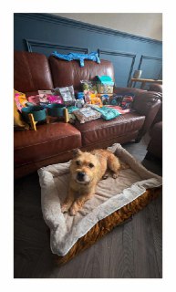 Иллюстрация 3