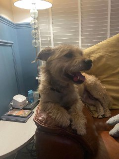 Иллюстрация 4