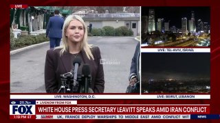 Белый дом: США уничтожили почти 30 кораблей Ирана, капитуляцию определит Трамп