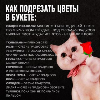 Иллюстрация 3