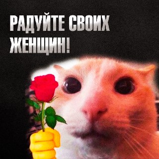 Иллюстрация 5