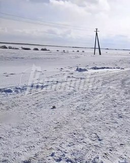 Иллюстрация 1