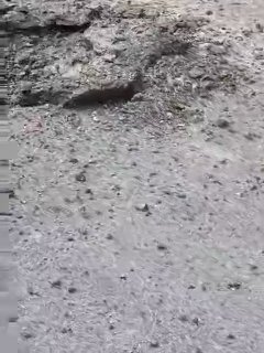 Иллюстрация 3