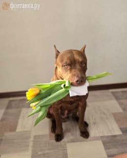 Главный вопрос 9 марта: чем вас одарили мужчины на 8 марта?