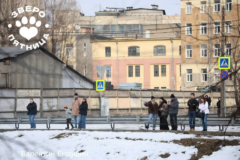 Иллюстрация 2