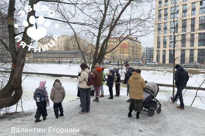 Иллюстрация 3