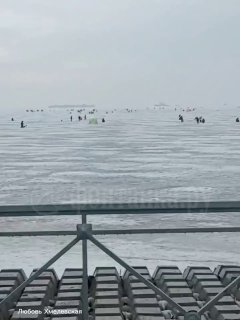 Рыбаки на льду Финского залива и дождливая погода в Петербурге