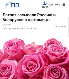 Латвия отправила в Россию хризантемы на €9,5 млн в 2025 году