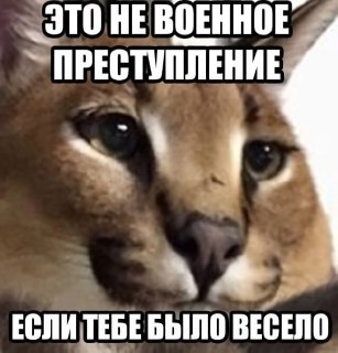 Трамп: военные топят корабли Ирана, потому что им «веселее»