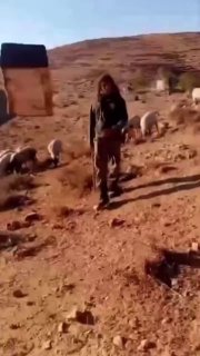 Иллюстрация 2