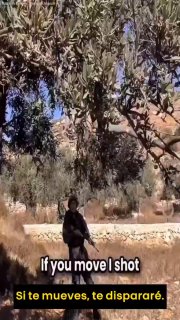 Иллюстрация 3