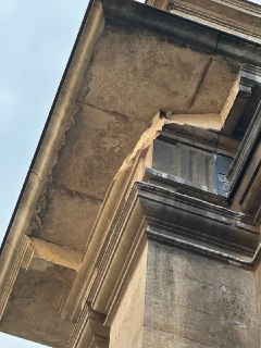 Иллюстрация 4