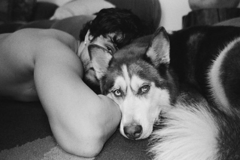 Иллюстрация 5